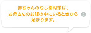 赤ちゃんのむし歯対策は、お母さんのお腹の中にいるときから始まります。